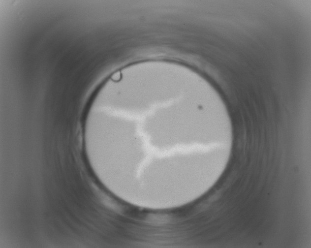 X0000081301509200702082031