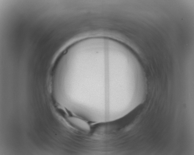 X0000081301510200702082031