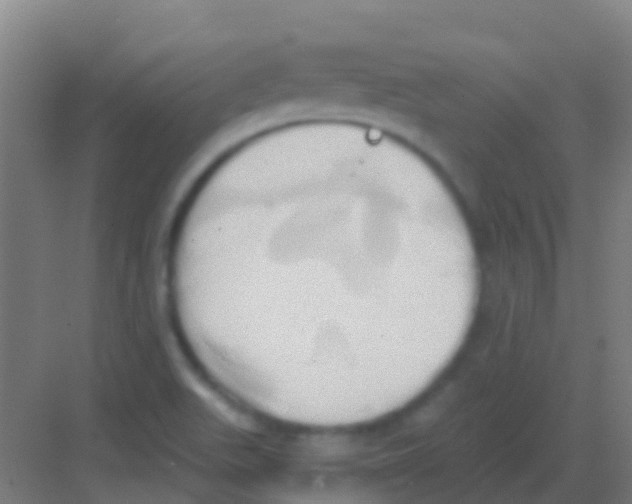 X0000081301511200702082031