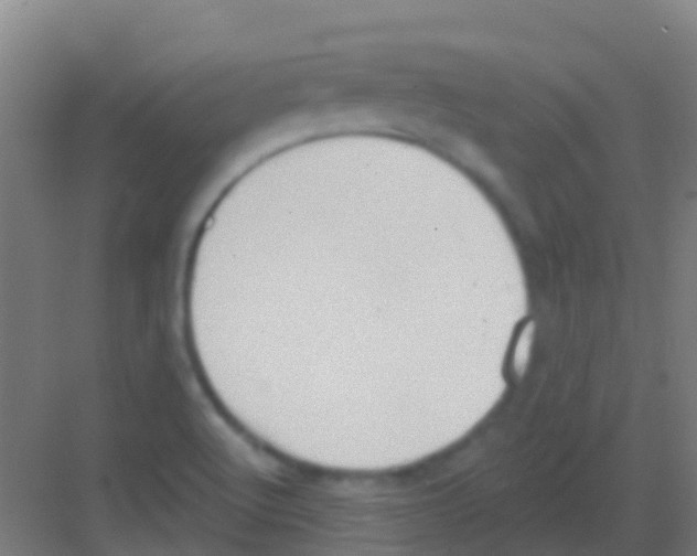 X0000081301512200702082031