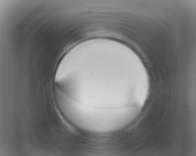 X0000081301513200702082031