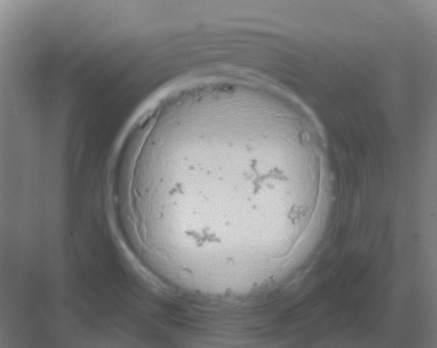 X0000081301514200702082031