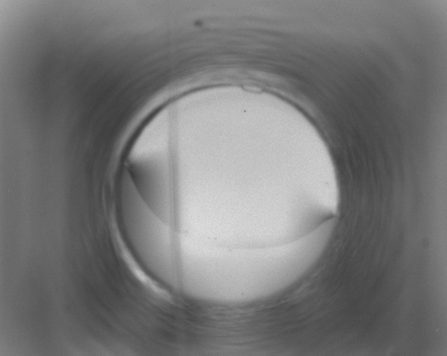 X0000081301515200702082031