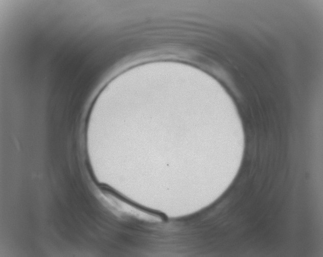 X0000081301516200702082031