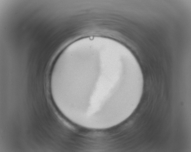 X0000081301517200702082031