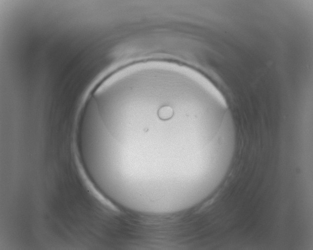 X0000081301518200702082031