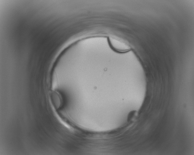 X0000081301519200702082031