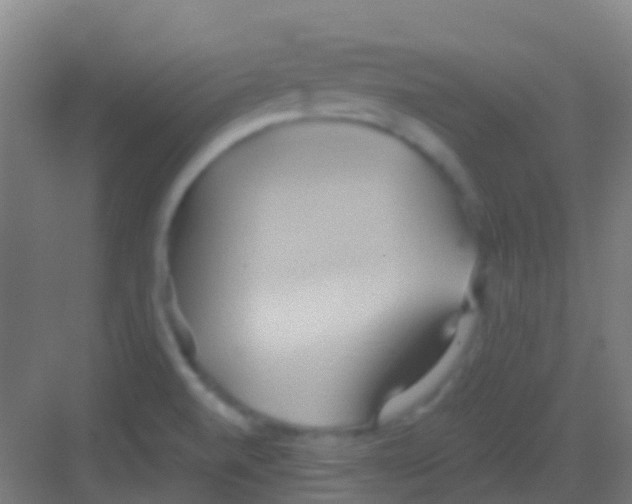 X0000081301520200702082031