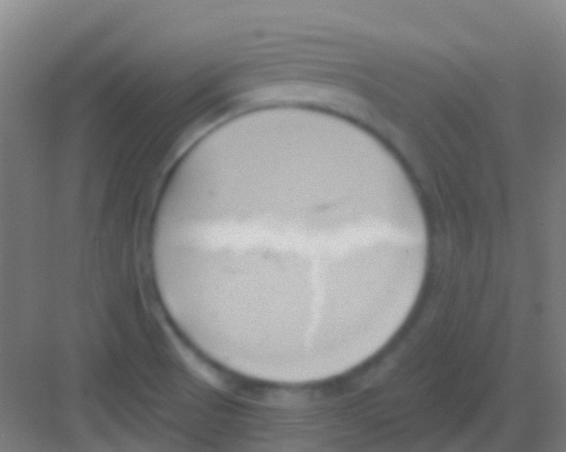 X0000081301521200702082031