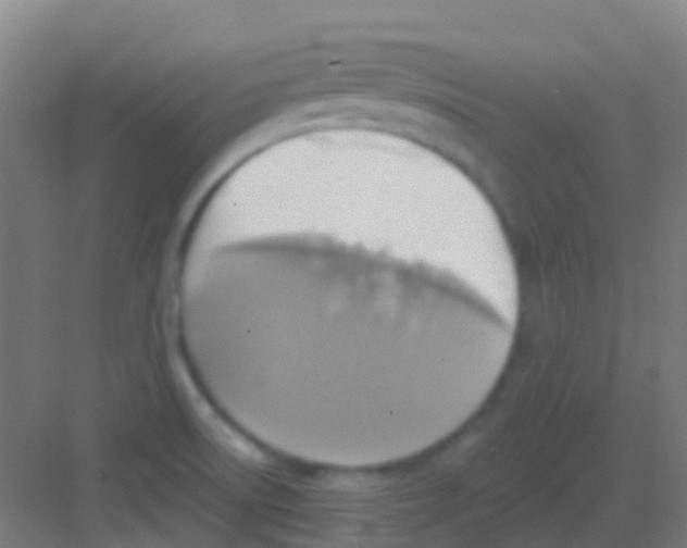 X0000081301522200702082031