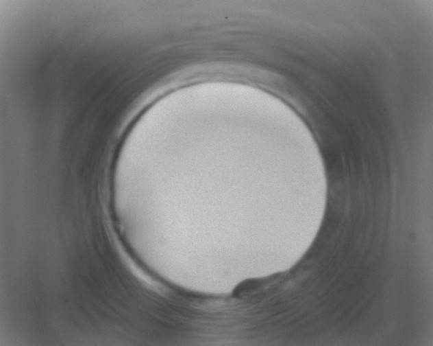 X0000081301523200702082031