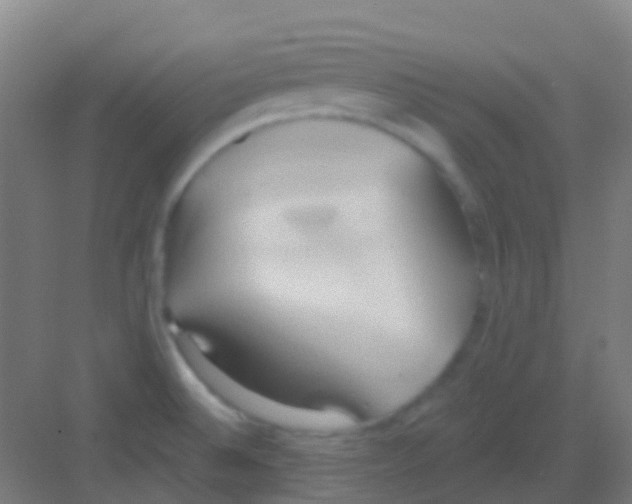 X0000081301524200702082031