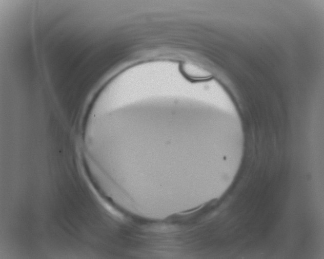 X0000081301525200702082031