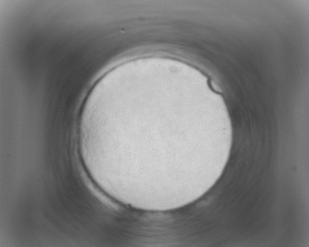 X0000081301526200702082031