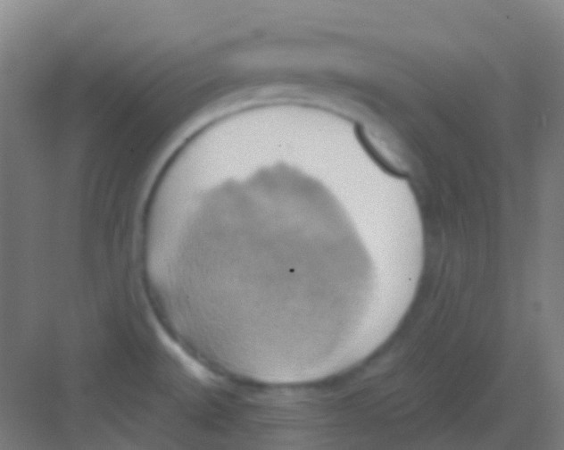 X0000081301527200702082031