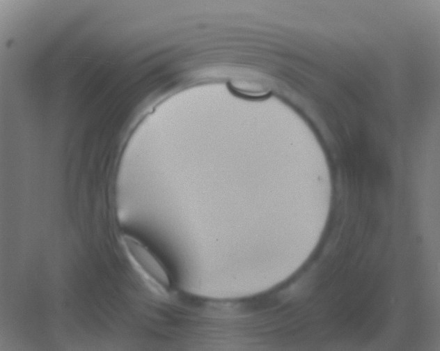 X0000081301529200702082031