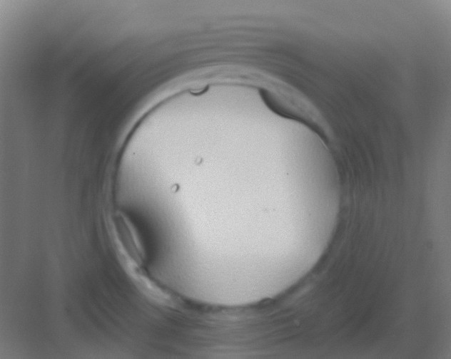 X0000081301530200702082031