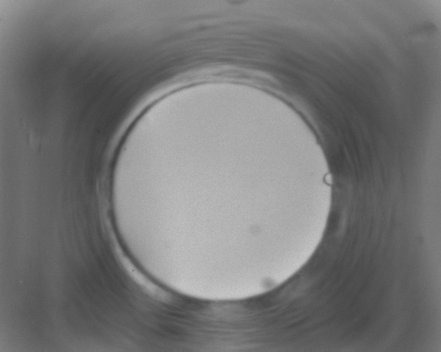 X0000081301531200702082031