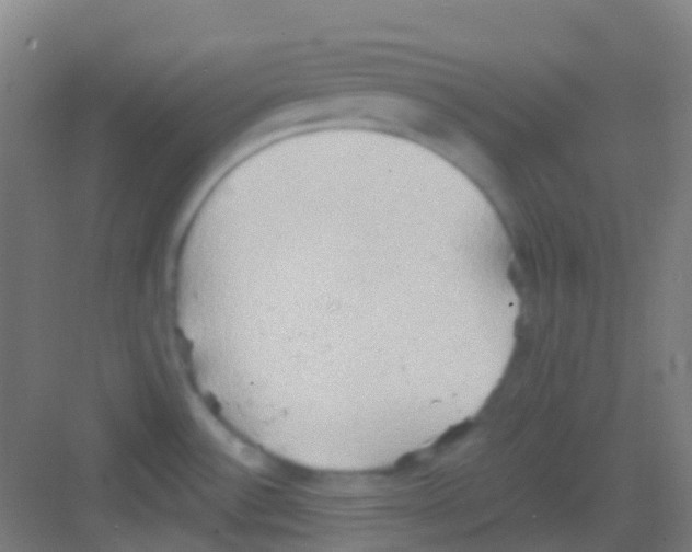 X0000081301532200702082031