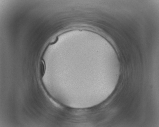 X0000081301533200702082031