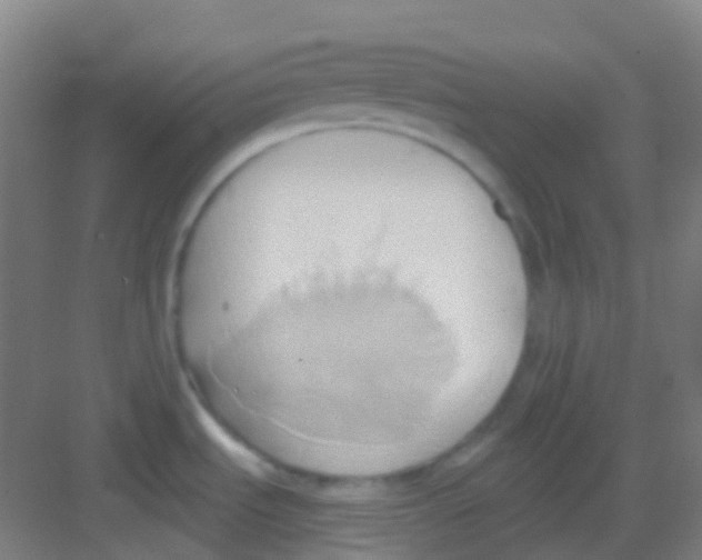 X0000081301535200702082031