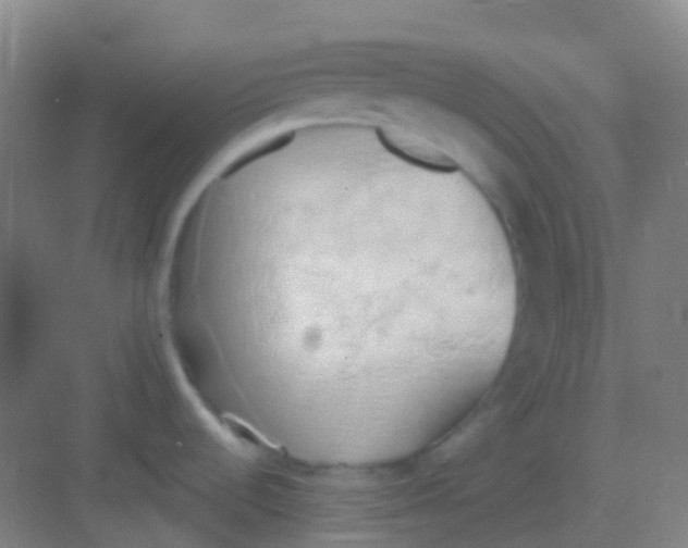 X0000081301536200702082031