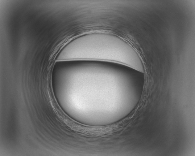 X0000081310001200701111014