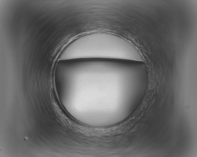 X0000081310002200701111014