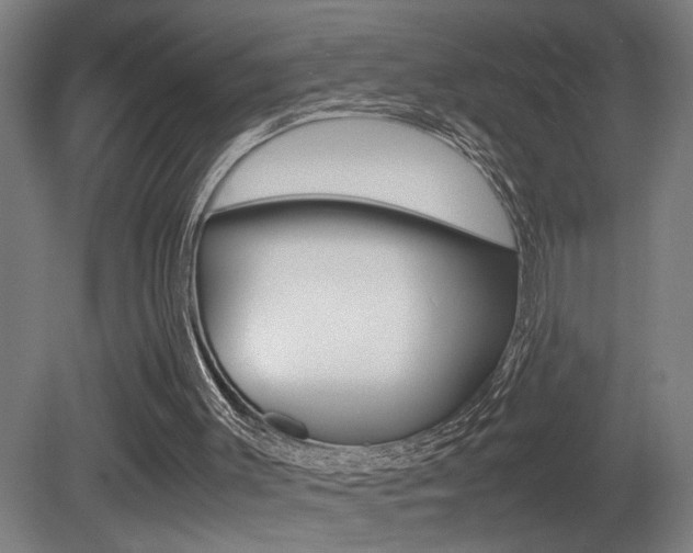 X0000081310003200701111014