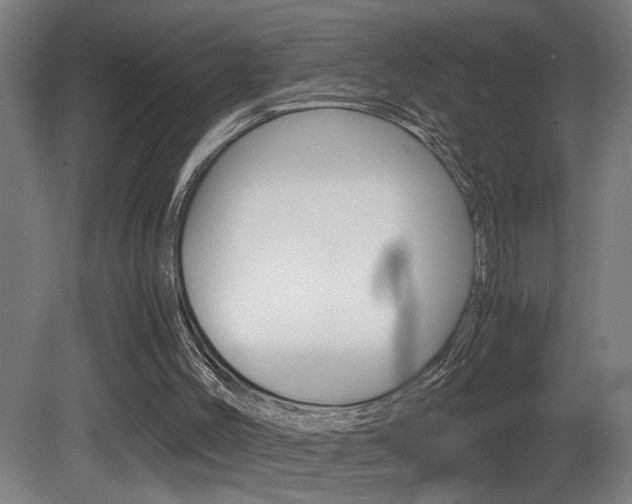 X0000081310004200701111014