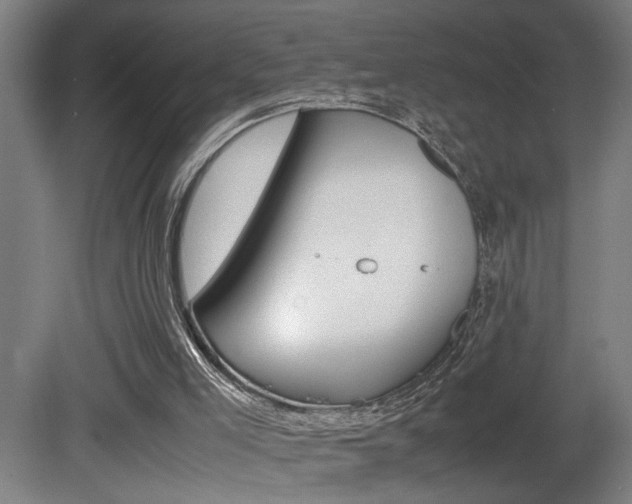 X0000081310005200701111014
