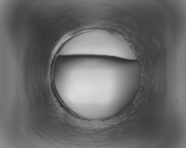 X0000081310006200701111014