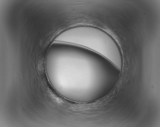 X0000081310009200701111014