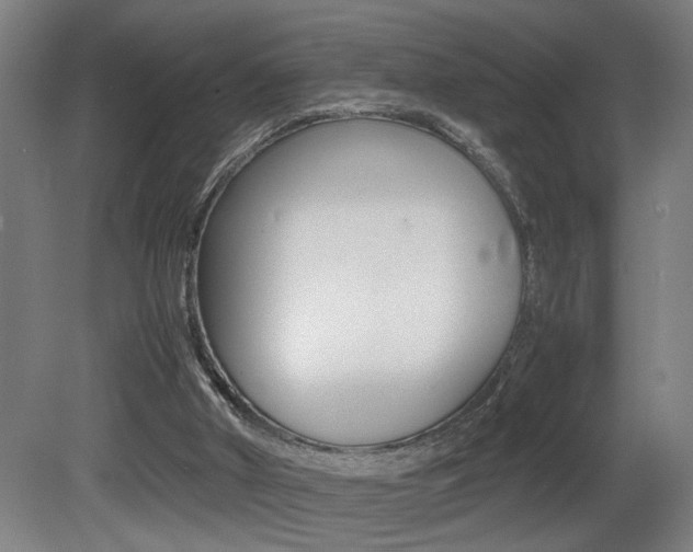 X0000081310010200701111014
