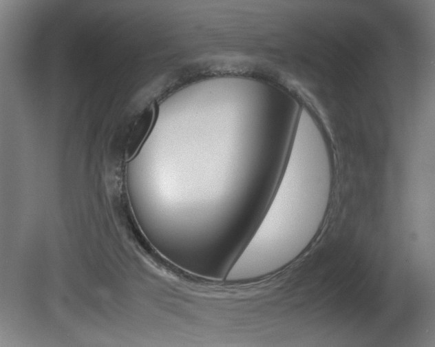 X0000081310017200701111014