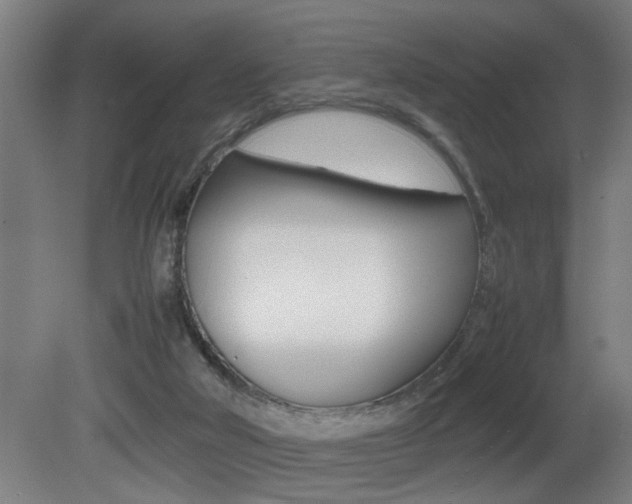 X0000081310018200701111014