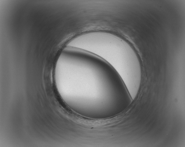 X0000081310019200701111014