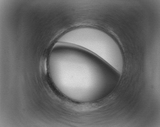 X0000081310020200701111014