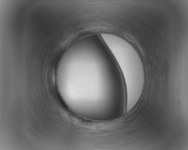 X0000081310021200701111014