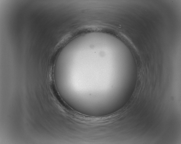 X0000081310023200701111014