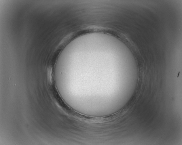 X0000081310024200701111014