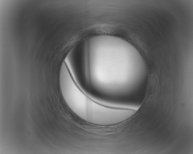 X0000081310027200701111014
