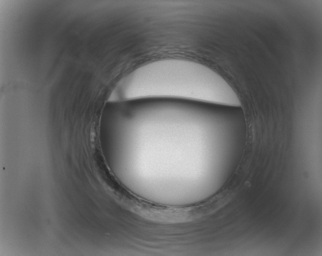 X0000081310032200701111014