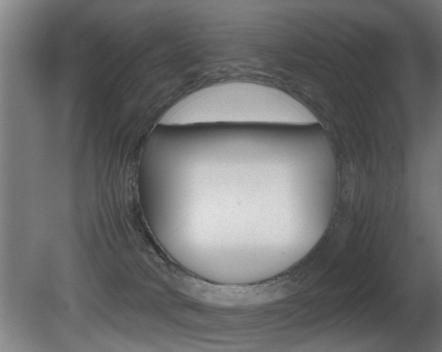 X0000081310034200701111014