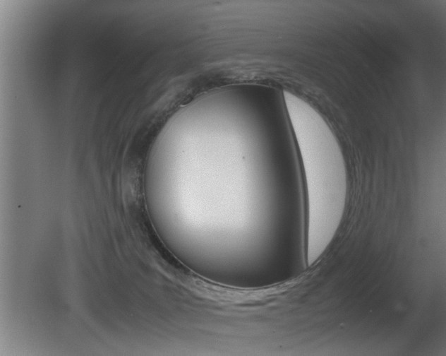 X0000081310035200701111014