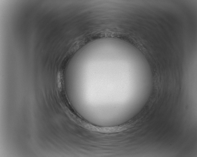X0000081310038200701111014