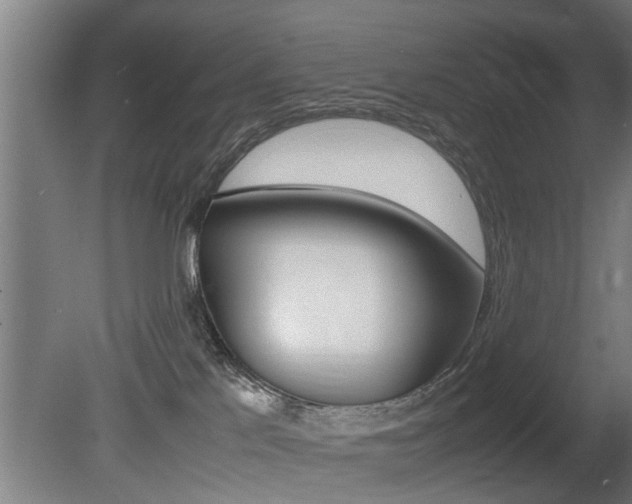 X0000081310041200701111014