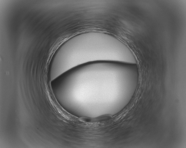 X0000081310049200701111013