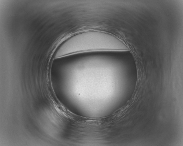 X0000081310050200701111013