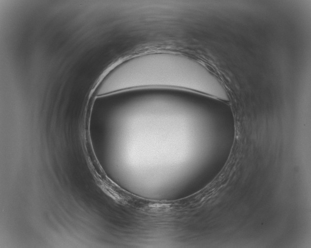 X0000081310052200701111013